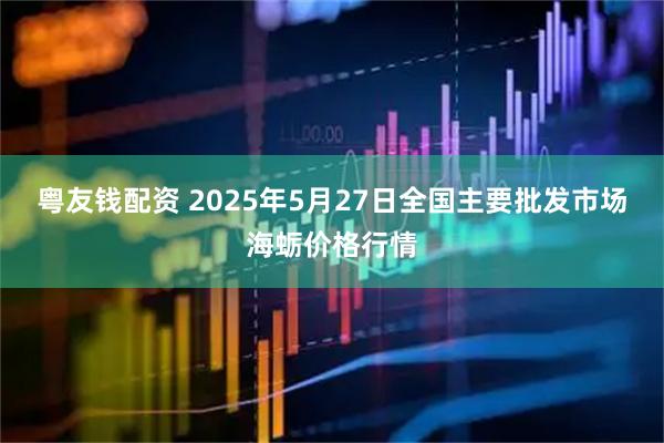 粤友钱配资 2025年5月27日全国主要批发市场海蛎价格行情