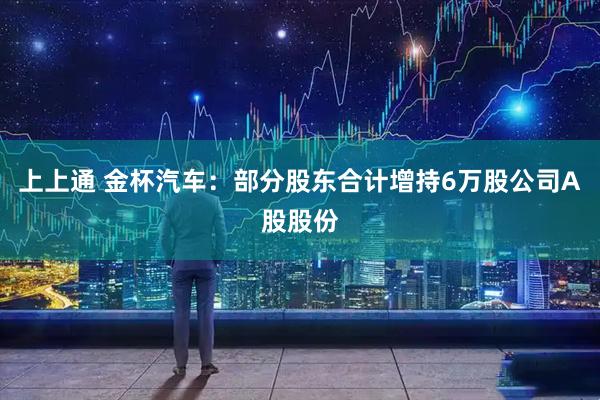 上上通 金杯汽车：部分股东合计增持6万股公司A股股份